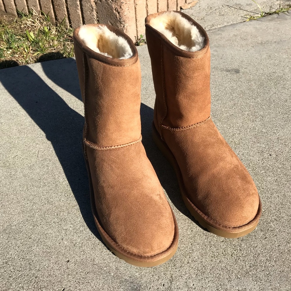 Brand new UGG 2 short in Chestnut Women’s 6